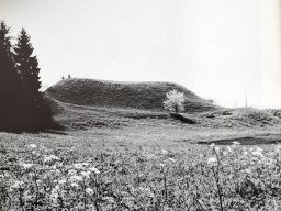 Burg-Fliehburg