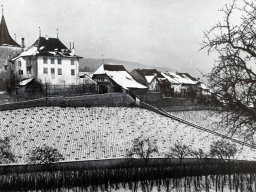 Schloss-Erlach-1910