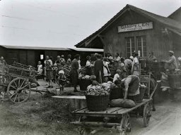 Gampelen-Markt-1930