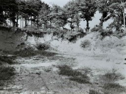 Sandduene-Gampelen-1925