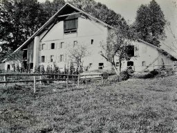 Tannenhof-Gampelen-1927