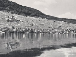 Ligerz-1950